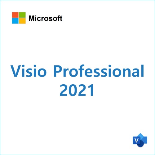 Visio Professional 2021 [영구]