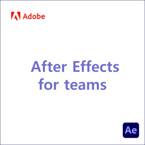 After Effects for teams [1년]