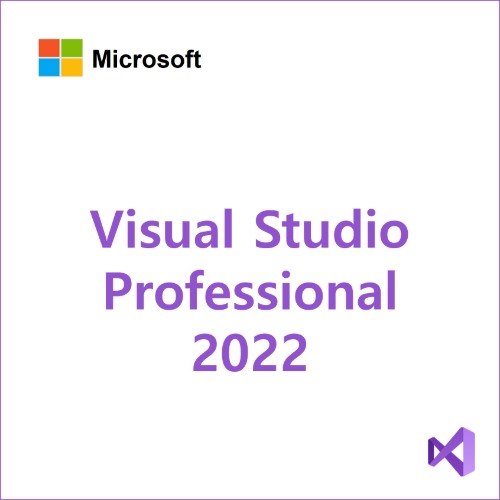 Visual Studio Pro 2022