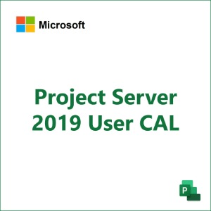 Project Server 2019 User CAL [CSP/영구]