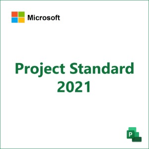 Project Standard 2021 [영구]