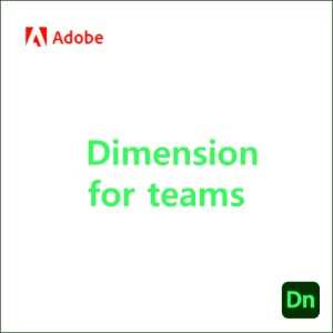 Dimension for teams [1년]