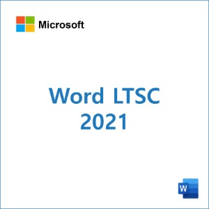 Word LTSC 2021 [영구]