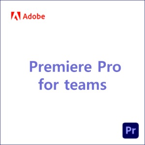 Premiere Pro for teams [1년]