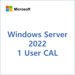 Windows Server 2022 - 1 User CAL [CSP/영구]