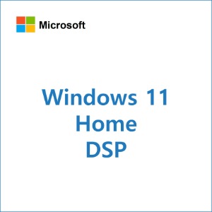 Windows 11 Home 64bit DSP [처음PC, 영구]
