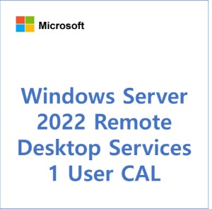 Windows Server 2022 Remote Desktop Services - 1 User CAL [CSP/영구]