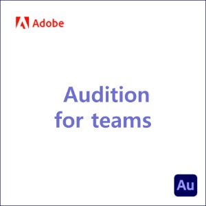 Audition for teams [1년]