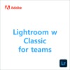 Lightroom w Classic for teams [1년]